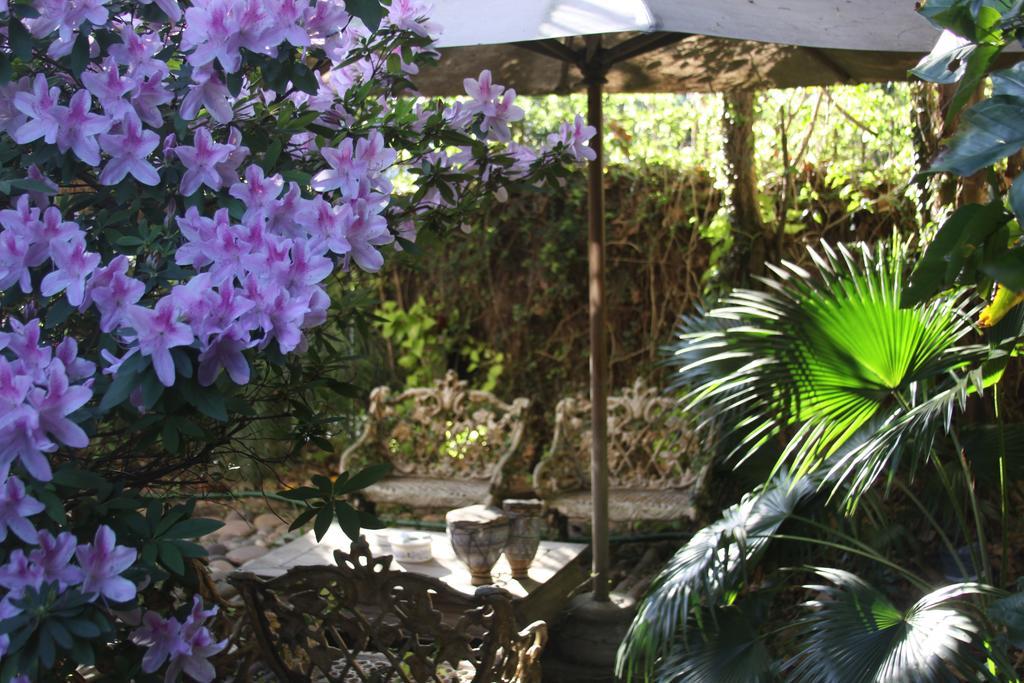 Bed and Breakfast La Casona De Grace Олівос Екстер'єр фото